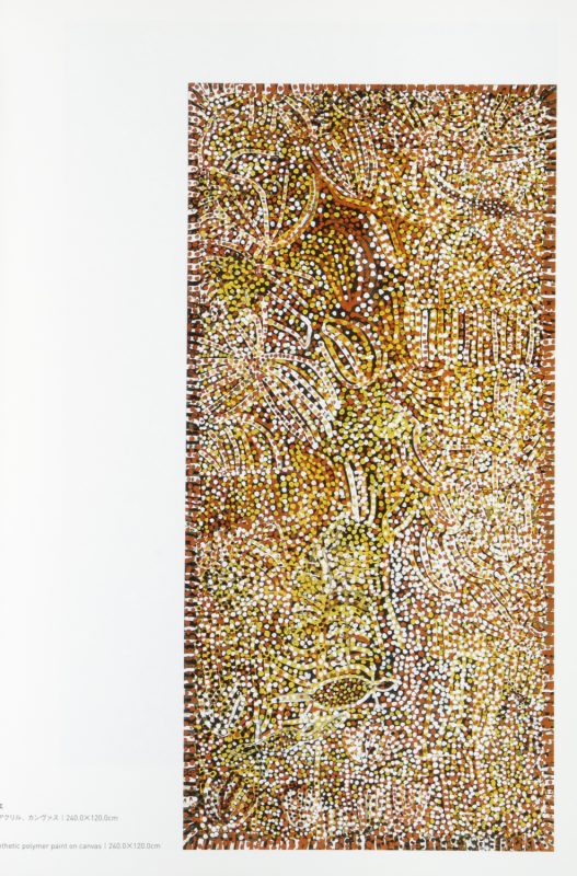 Emily Kame Kngwarreye utopia the genius of Emily Kame Kngwarreye Douglas Stewart Fine Books Emily Kame Kngwarreye utopia the genius of Emily Kame Kngwarreye Douglas Stewart Fine Books